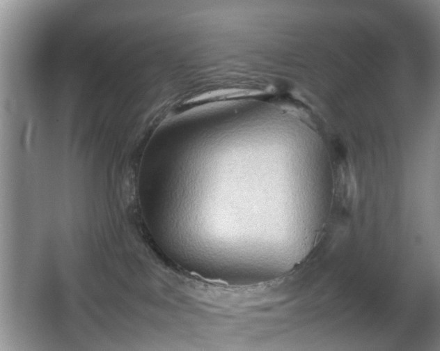 X0000067830043200604171138