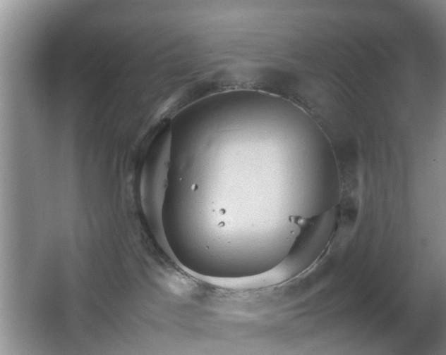 X0000067830045200604171138