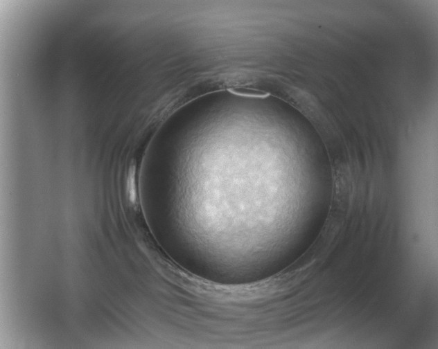 X0000067830046200604171138