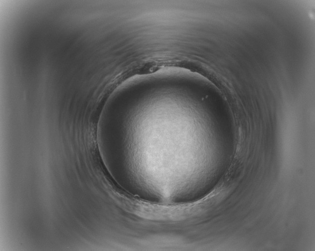 X0000067830048200604171138