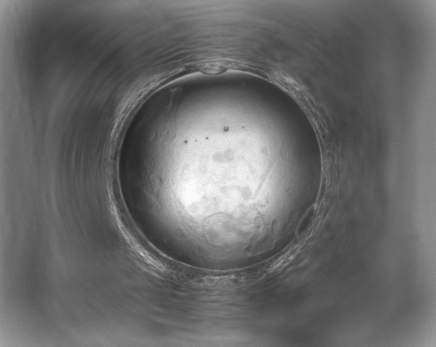 X0000067830049200604171137