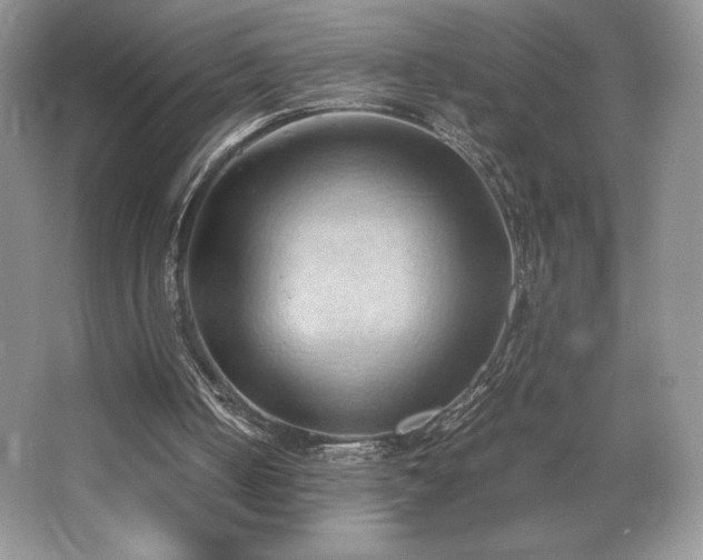 X0000067830050200604171137