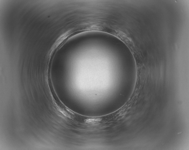 X0000067830051200604171137