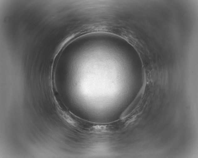 X0000067830052200604171137