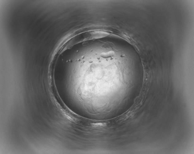 X0000067830053200604171137