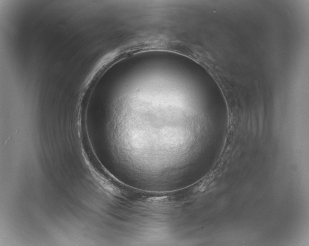 X0000067830054200604171137