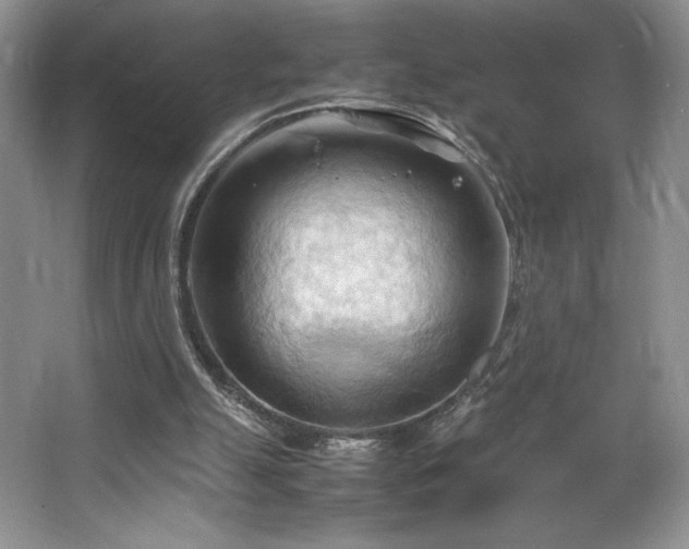 X0000067830055200604171137