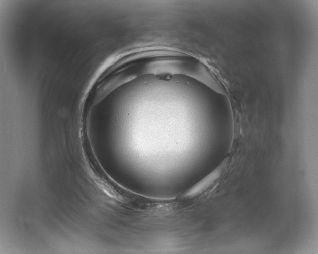 X0000067830056200604171137