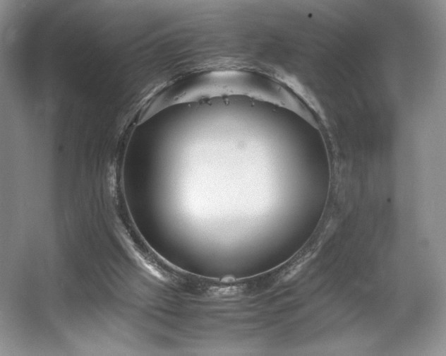 X0000067830057200604171137