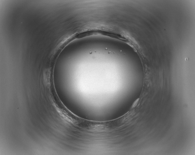 X0000067830058200604171137