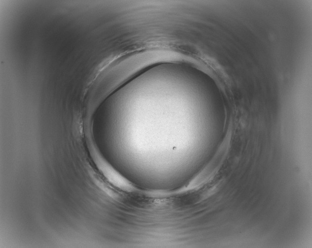 X0000067830060200604171137