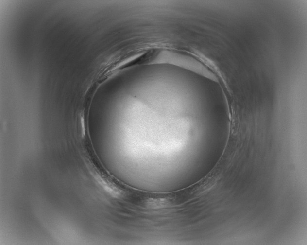 X0000067830061200604171137