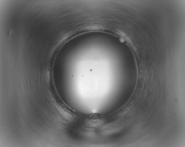 X0000067830063200604171137