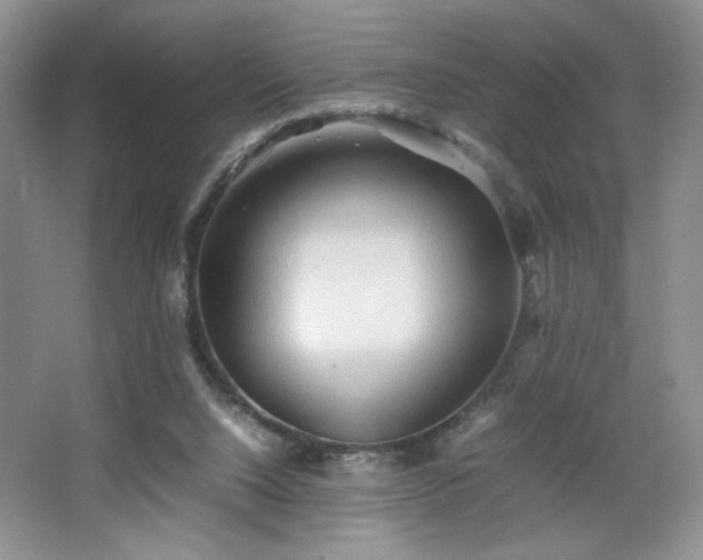 X0000067830064200604171137