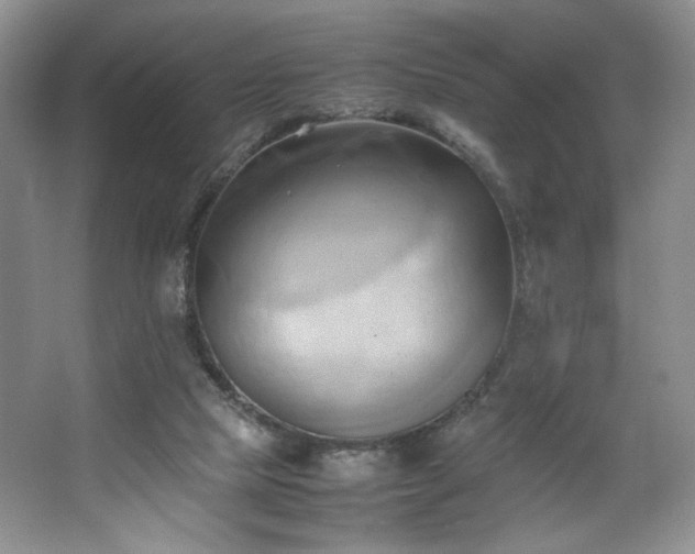 X0000067830065200604171138