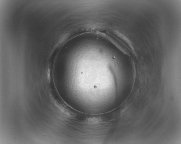 X0000067830067200604171138