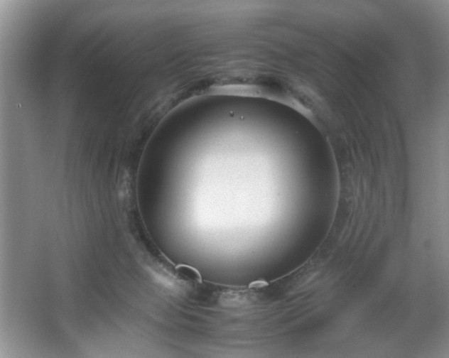 X0000067830077200604171138