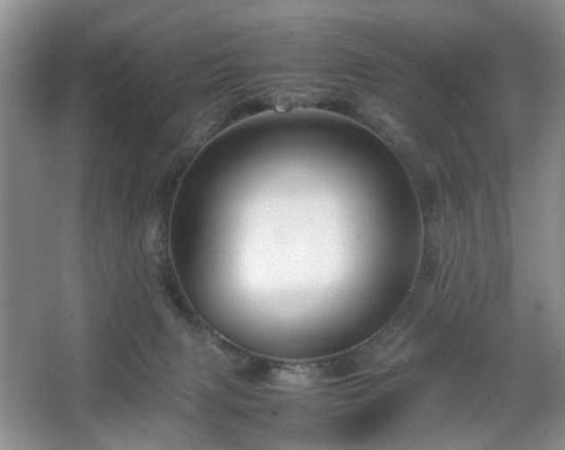 X0000067830079200604171138