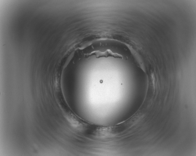 X0000067830084200604171138