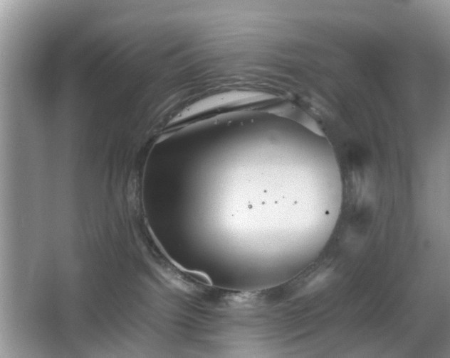 X0000067830092200604171138