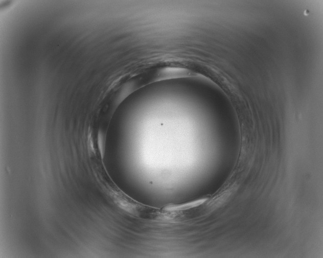 X0000067830096200604171138