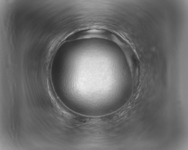 X0000067830097200604171137