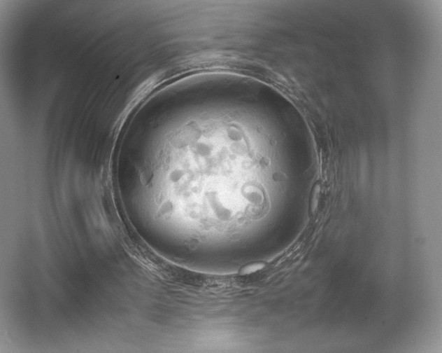 X0000067830099200604171137