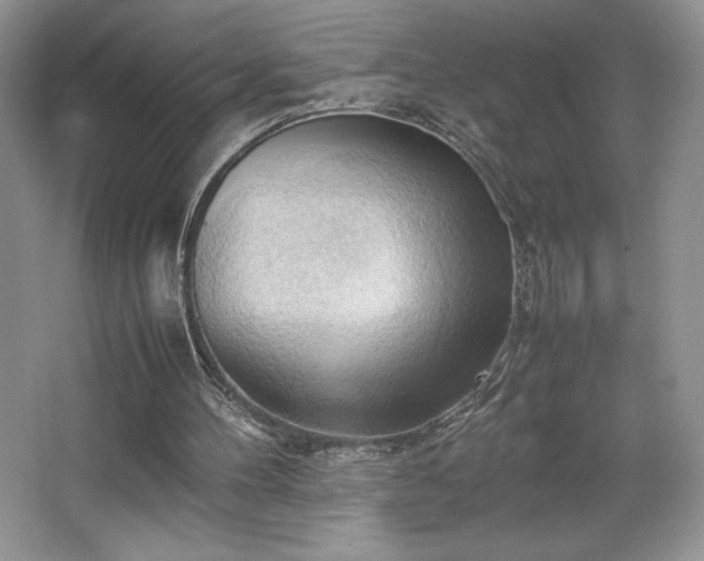 X0000067830100200604171137