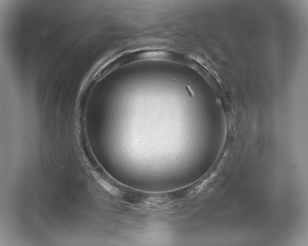 X0000067830101200604171137