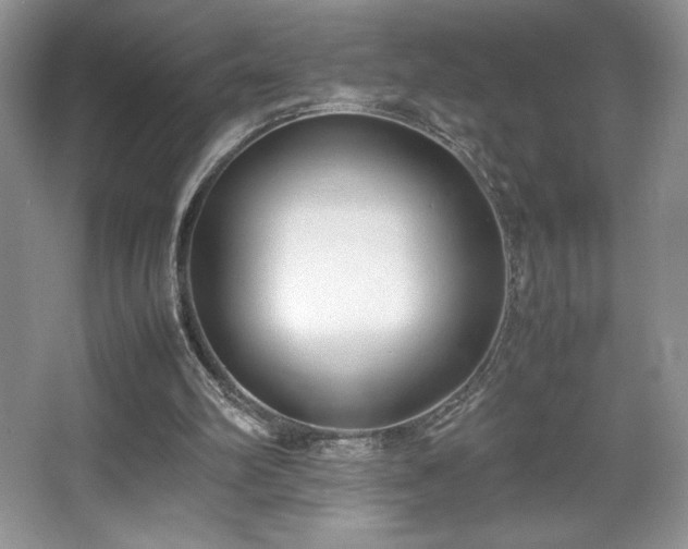 X0000067830102200604171137