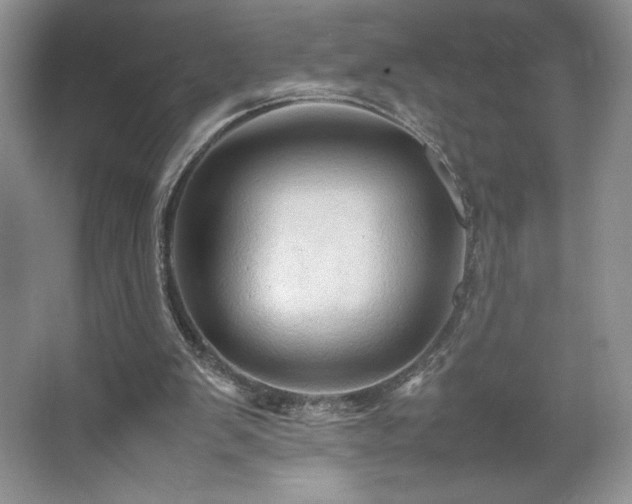 X0000067830103200604171137