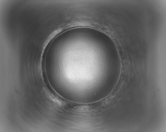 X0000067830104200604171137