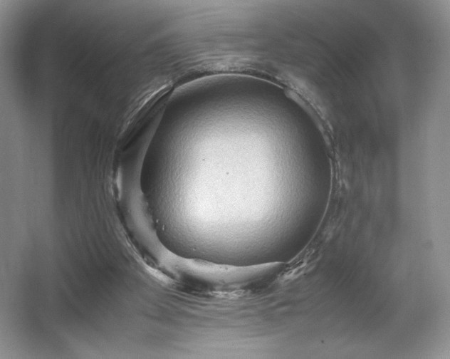 X0000067830105200604171137