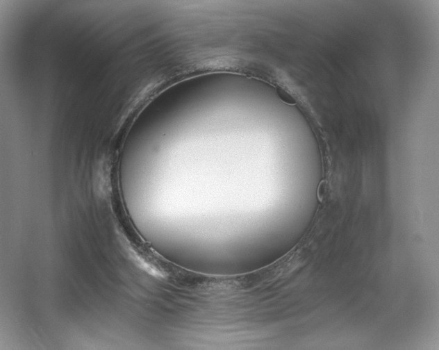 X0000067830106200604171137