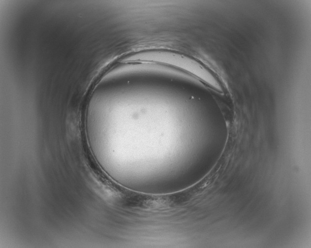 X0000067830107200604171137