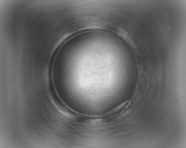 X0000067830108200604171137