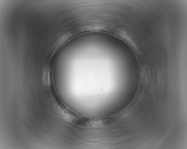 X0000067830110200604171137