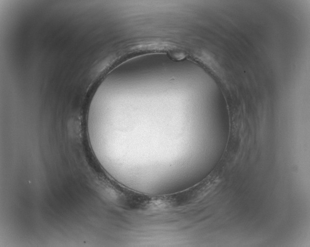 X0000067830111200604171137