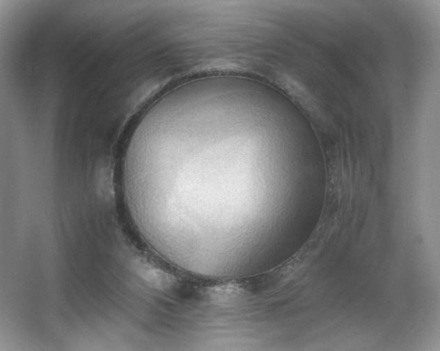 X0000067830112200604171137