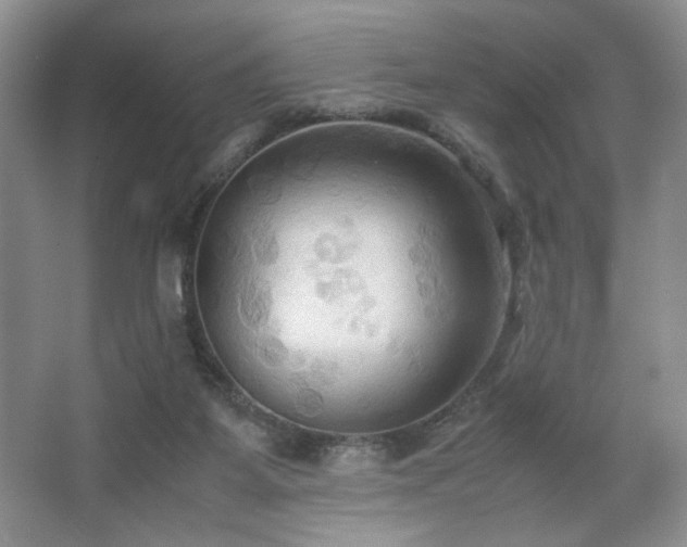 X0000067830115200604171137