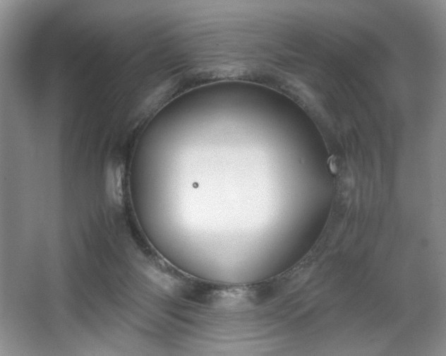 X0000067830118200604171137