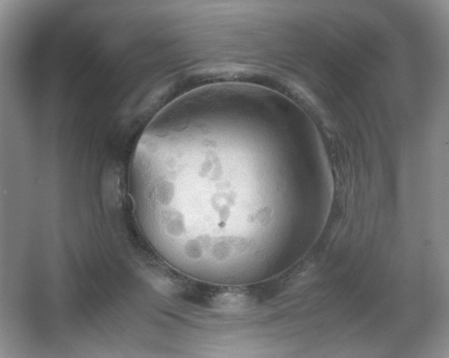 X0000067830119200604171137