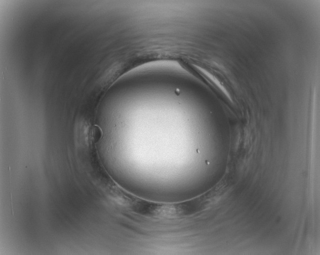 X0000067830123200604171137