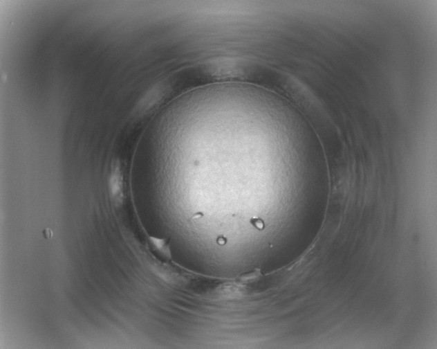 X0000067830124200604171137