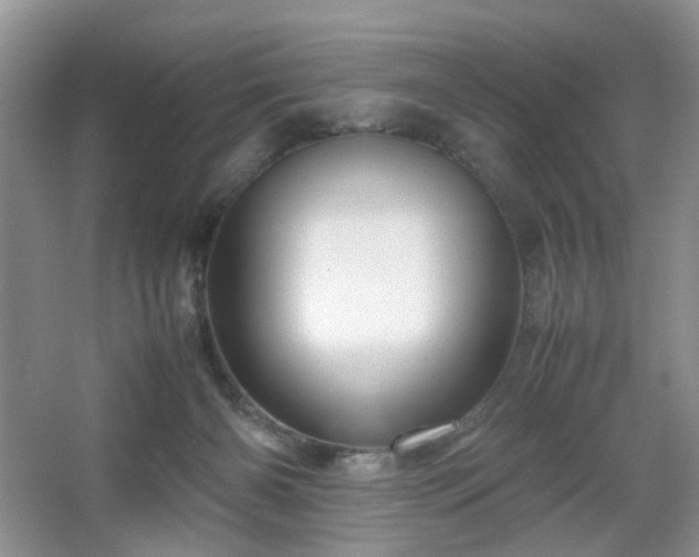 X0000067830126200604171137