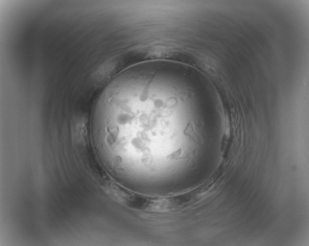 X0000067830127200604171137