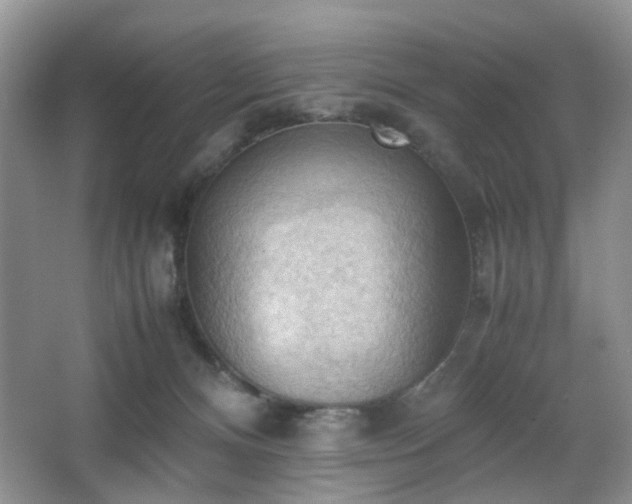 X0000067830128200604171137