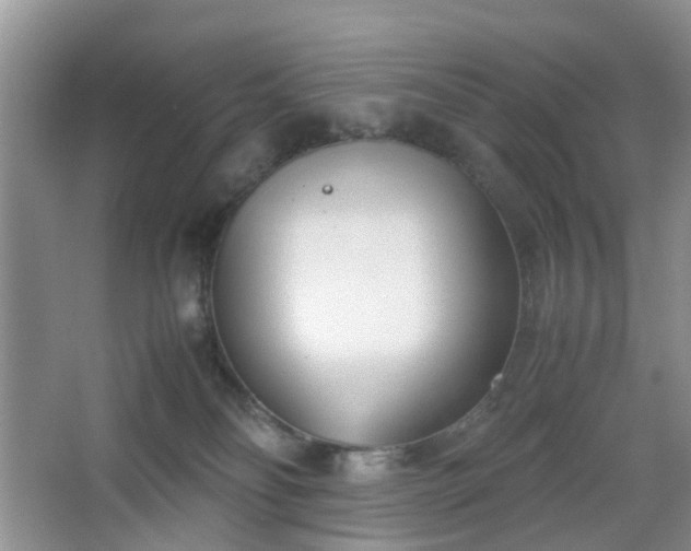 X0000067830134200604171137