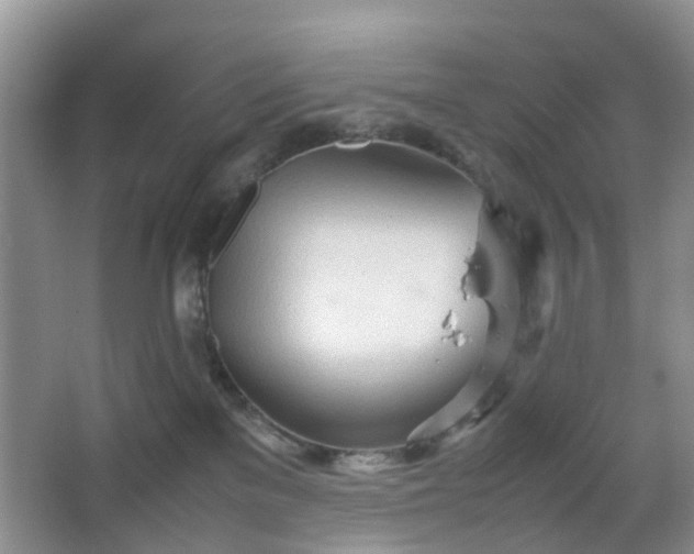 X0000067830137200604171137