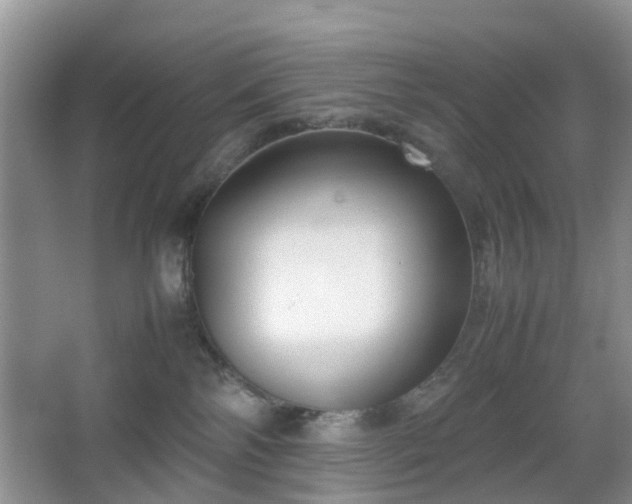 X0000067830138200604171137